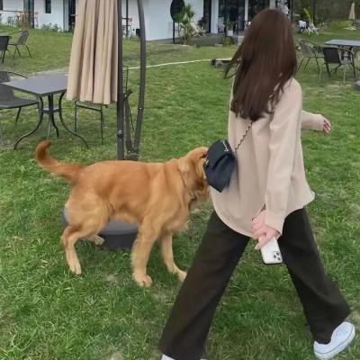 致命围困